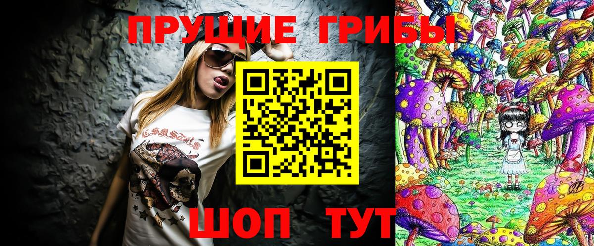 Псилоцибиновые грибы мицелий  цены   Приморско-Ахтарск  Вход с VPN 