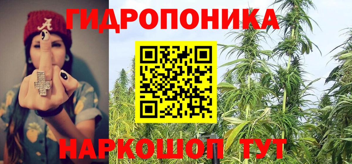 Марихуана AK-47 Приморско-Ахтарск